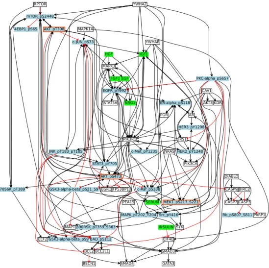 Fig 2. Breast Cancer Signaling Pathway. This figure shows the reconstructed signaling network from a combination of databases
