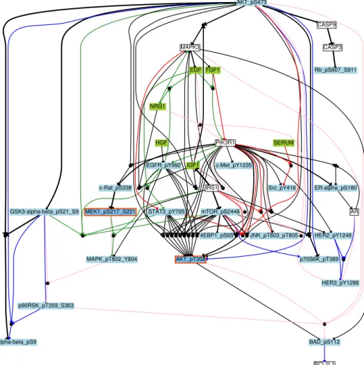Fig 3. Boolean network of breast cancer cell lines. The aggregated graph for all cell lines
