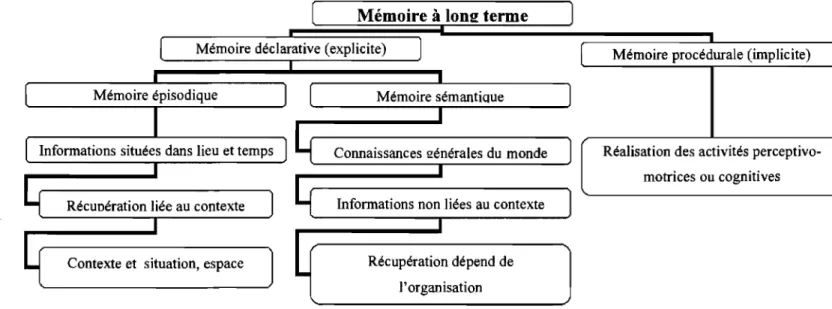 Figure 13  - Mémoire à long tenne 18 ,  Houdé (1998) 