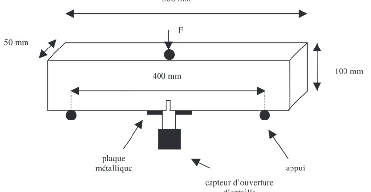 Figure 1. Configuration de l’essai mécanique