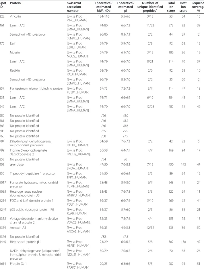 Table 2 Mass spectrometry data of the endothelial cell protein spots identified as specific target antigens a Spot ID Protein SwissProtaccession number Theoretical/estimatedMW, kDa Theoretical/estimatedpI Number of unique identifiedpeptidesc Totalionscore 
