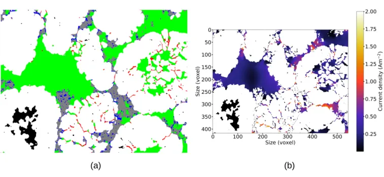 Figure 6: Comparison between (a) the microstructure with different porosity types (white is NMC, grey is CB/PVdF, green is (i), black (ii), blue (iii) and red (iv)) and (b) the corresponding current density map (simulation) in identical 2D slices from NA2b