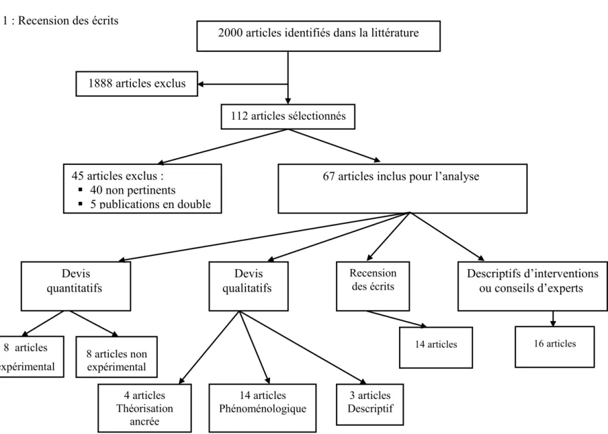 Figure 1 : Recension des écrits 