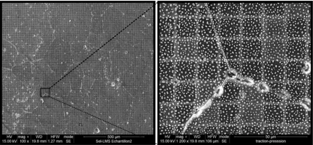 Fig. 1.23 – Exemple de microgrilles en nickel et de microbilles d’or sur la surface d’un matériau de NaCl synthétique.