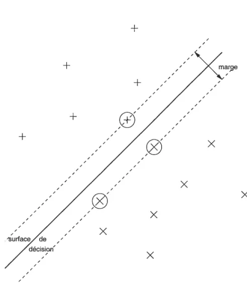 FIG. 5.1 — Surface de décision à marge maximale des SVMs. Les vecteurs de support sont repérés par un cercle.