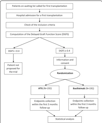 Fig. 1 Preventing delayed graft  function by driving immunosuppressive induction treatment (PREDICT-DGF) study: description of the study.