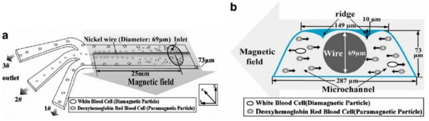 Figure 1.4. Schematic representation of the microfluidic chip for RBC sorting designed by Qu et al