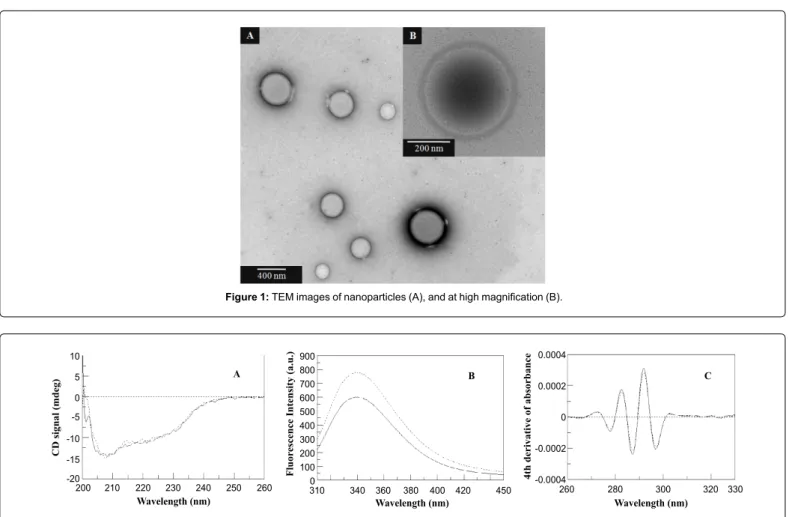 Figure 1: TEM images of nanoparticles (A), and at high magnification (B).