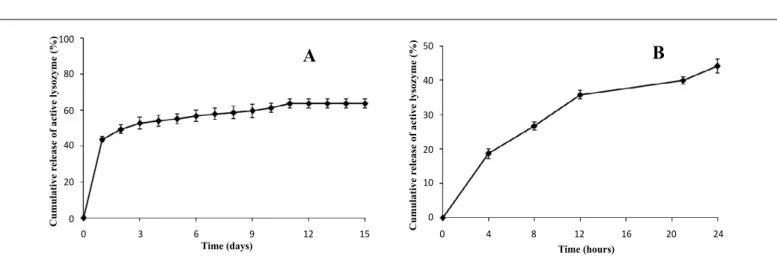 Figure 3: In vitro release profile of active lysozyme during 15 days (A), and during the first 24 h (B).