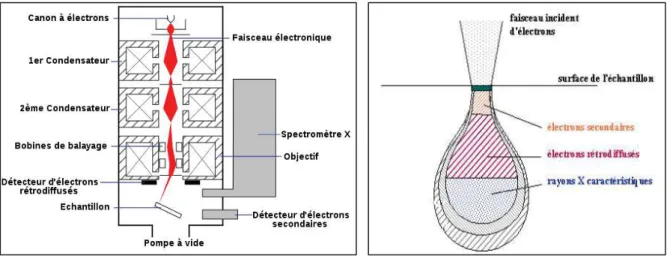 Figure 87 : Schéma de principe de fonctionnement  d’un microscope électronique à balayage 