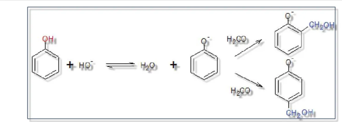 Figure 1 : Réaction d’addition d’un groupe hydroxyméthylène à un phénol sous catalyse basique 