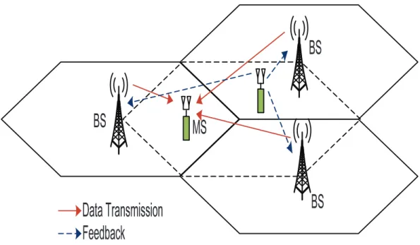 Figure 4.1: Three-cell Cluster