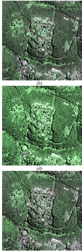 Fig. 2. The vegetation map and extraction of set 1: (a) VTC’ map  map, (b) extraction using  VTC’ map , (c) VI map, (d) extraction using VI, (e) HRNDVI map, (f) extraction using 