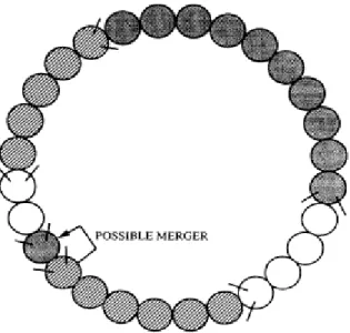 Figure 2.2. - Représentation d’une simulation du modèle de ver de Werner et Gillepsie  (1993)