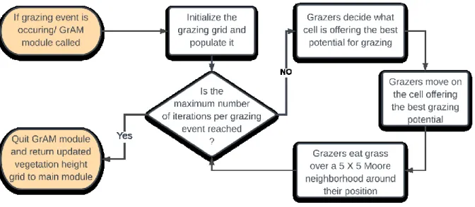 Figure  4.1.  -  Flow  diagram  summarizing  the  main  behaviours  of  the  grazing  agents  in  the  GrAM module