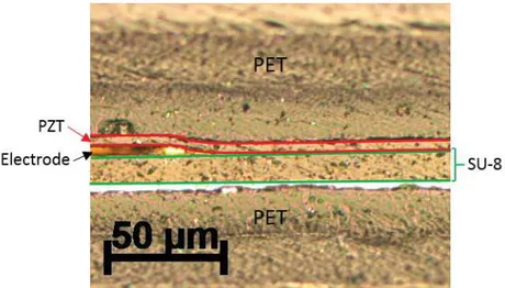 Fig 6 : Optical microscopy photograph of complete cross-section of micro-generator. The red line indicates the PET/PZT  interface.