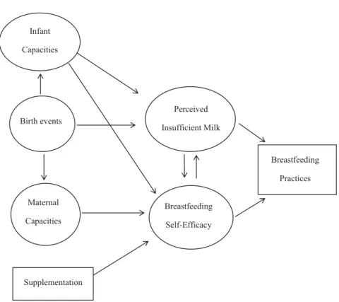 Figure 1. Theoretical framework of Perceived Insufficient Milk (PIM). 