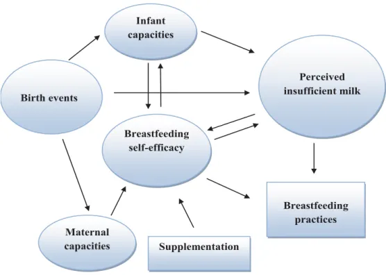 Figure 1. Perceived insufficient milk model. Infant capacities Breastfeeding self-efficacy Maternal capacities Birth events  Perceived  insufficient milk Supplementation Breastfeeding practices 