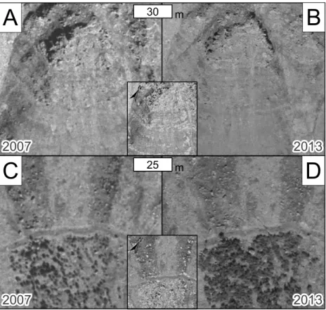 Figure 3. Aerial photographs from 2007 (left side) and 2013 (right side) of a portion of the steep cliff above Ísafjörður (A, B) and of the forest on ESE side of the town (C, D) showing different sources of noise in the map of difference in elevation (in t