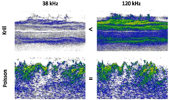 Figure 8. Exemple de valeurs d’échos sur une même échelle de couleur de krill et de poisson à 38 et 120 kHz