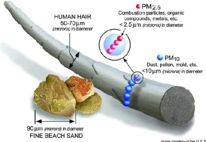 Figure 1.4 Comparaison de la taille des PM 10  et PM 2,5  avec un cheveu et un sable de  plage