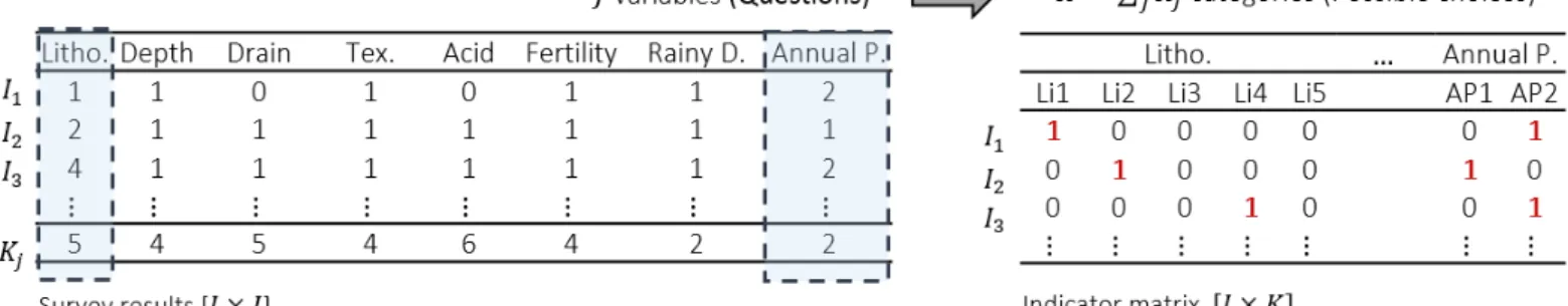 Figure 5. Indicator matrix scheme.