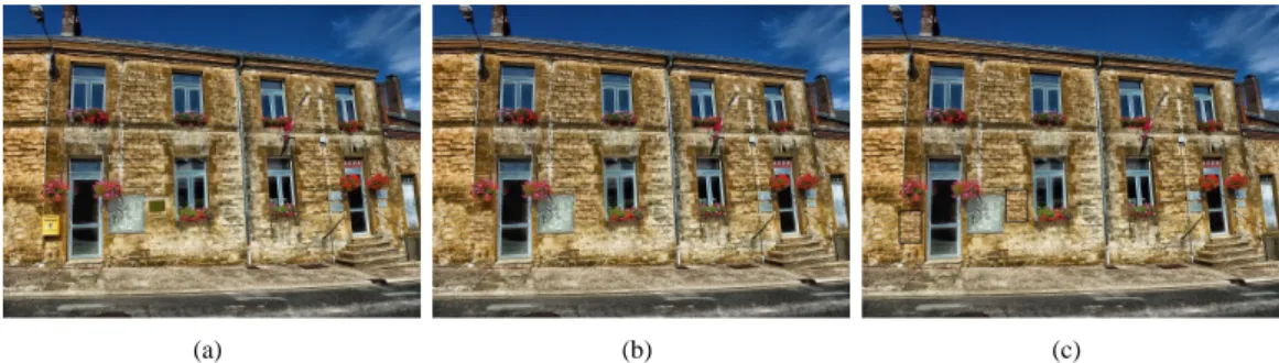 Figure 5 – L’application initiale de SCOTT est la dissimulation de la pollution visuelle