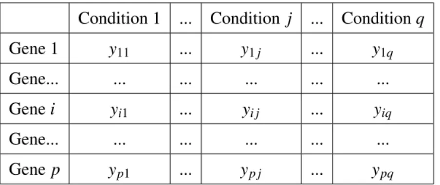 Table 1.1: Gene expression matrix