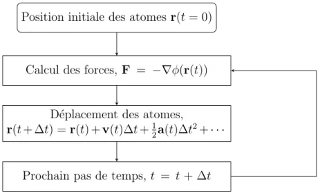 Figure 3.2 – Repr´esentation simplifi´ee d’un algorithme de dynamique mol´eculaire