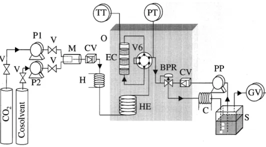 Figure 8. Experimental device for solid solubility measurements in SCF 
