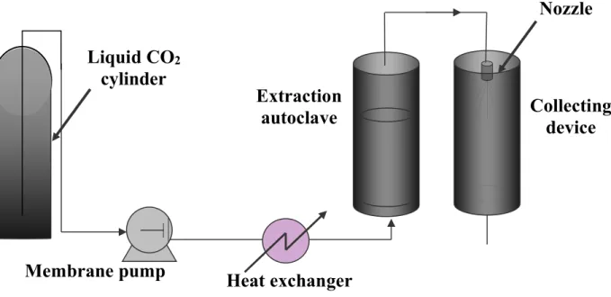 Figure 9. The RESS process: schematic flow diagram  