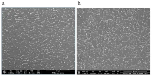 Figure 5: (a.) SEM image of the TA6V microstructure before forming shows the classical phases, (b.) SEM image of the TA6V  microstructure after forming shows that the phases are conserved
