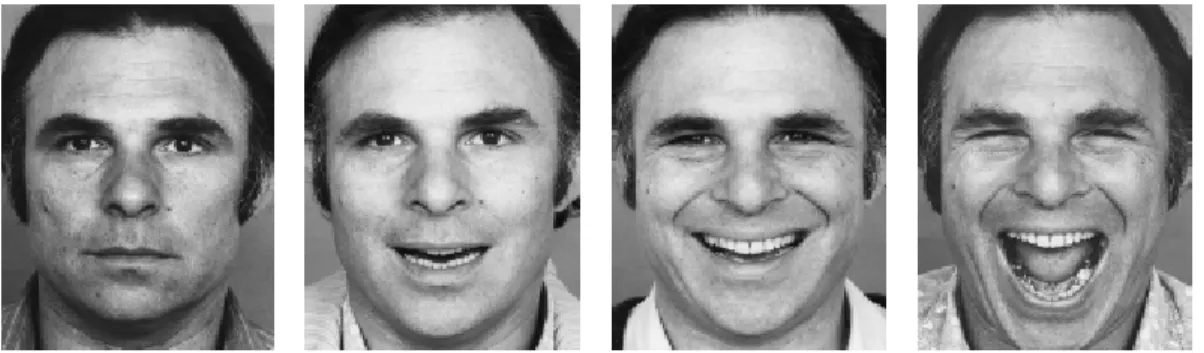 Figure 2.13 – Mesure comportementale: Facial Action Coding System (FACS) : Exemples  d’expressions faciales (Ekman &amp; Friesen, 1984)