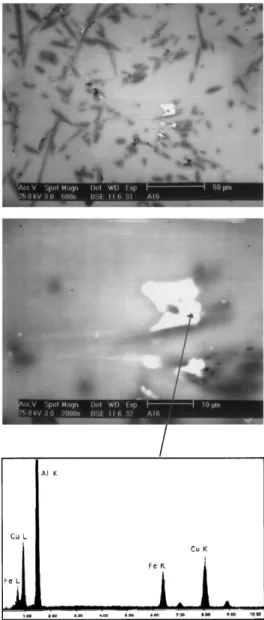 Fig. 7. Segregation of an Al–Cu–Fe phase around an Al 2 O 3 fibre (EDS microanalysis).