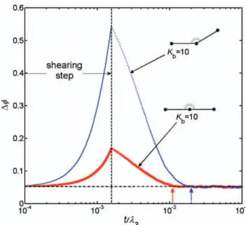 Figure 5 BD prediction of the stored bending-energy during a shear-strain step test for two different nonfreely jointed (three-bead)-(two-rod) chains: naturally straight configuration and naturally bent configuration (Dy max ¼ 30  )