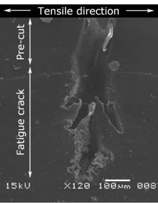 Figure 13 Top view of a crack tip in a 90  rotated speci- speci-men in the chamber of the specispeci-men.