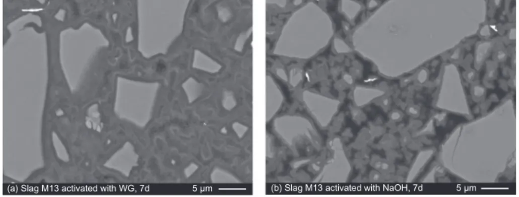 Figure 4. SEM images of slag M13 activated by (a) sodium metasilicate (WG) and (b) NaOH, hydration time 7 days.
