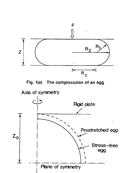 Fig. 1fb) Analysis model for the compression expenment