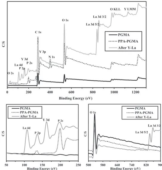 Fig.  4. XPS spectra of PGMA, PPA-PGMA, and PGMA after sorption of La(III) and Y(III)