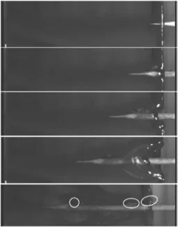 Figure 7 Video sequences of the impact of the arrow having three lateral microliths af ﬁ xed using pure beeswax