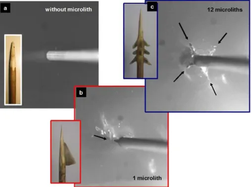 Figure 9 Impacted gelatin with different arrow geometries: sharpened wood without any microliths (a), with one lateral microlith (b) and with 12 lateral microliths (c).