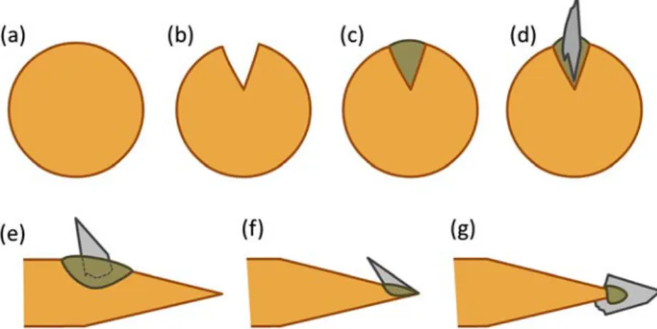 Figure 1 The preparation of the prehistoric projectiles. The initial arrow (a) is grooved (b), then the groove is ﬁ lled with melted adhesive (c) and ﬁ nally the microlith is put into place (d)
