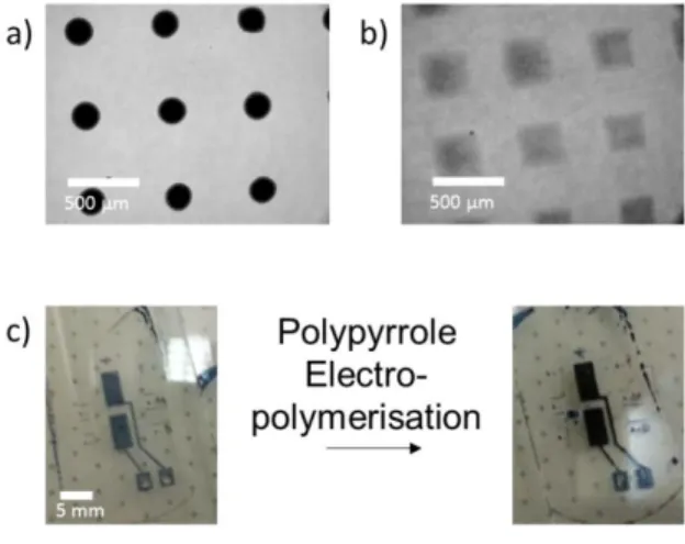 Figure 5. µCP PEDOT patterns. a) Pattern on PVA obtained after 30 min of VPP onto a µCP-patterned oxidant  layer  with  10 %  PEGDM,  b)  The  µCP  pattern  obtained  with  the  same  process  but  with  30 %   PEGM-PEGDM, c) Using µCP, large  electrodes (