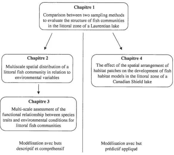 Figure 1.3 Schématisation de la structure de la présente thèse en quatre chapitres.