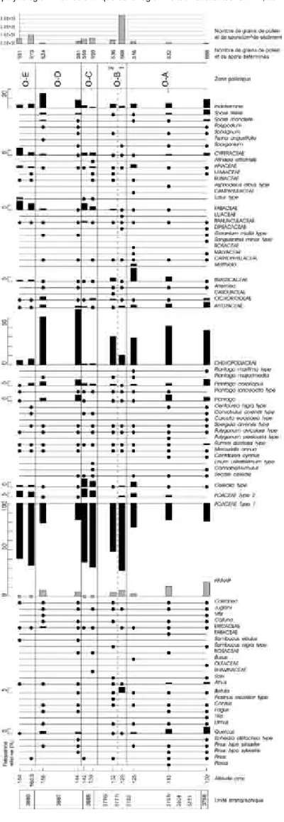 Figure 6 - Diagramme pollinique de la partie « ouest » de la coupe stratigraphique. (DAO : Champagne et al.) 