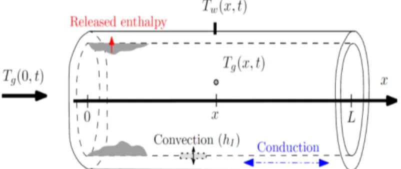 Fig. 2 Schematic view of the distributed profile temperature inside a catalyst jointly with thermal exchanges.