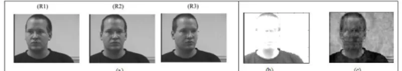 Fig 12: Illustrating the saturation effect: (a) three 8-bit grey scale images. (b) Image obtained by a classical linear  combination of the three images shown in (a)