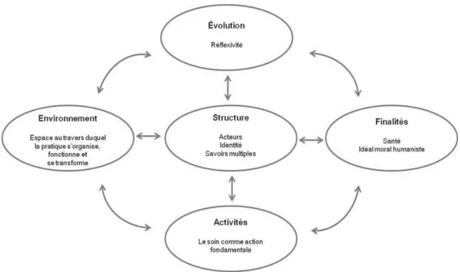Figure 3. Modélisation de la pratique infirmière comme système complexe. 