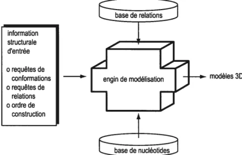 Figure 6 Schéma conceptuel du flot d’information passant à travers le système MC-$ym. L’usager est responsable de l’informaflon structurale en entrée, soient la spécifications de toutes les requêtes au bases de relations et de nucléotides avec leur échanti