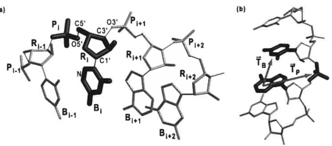 Figure 10 : Redéfinition du résidu et extraction de la transformation vers le phosphate